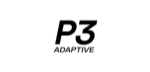P3-1